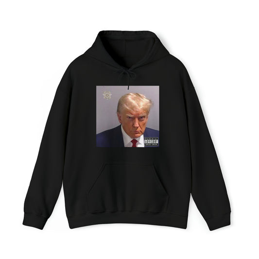 Trump Mugshot Album Hoodie